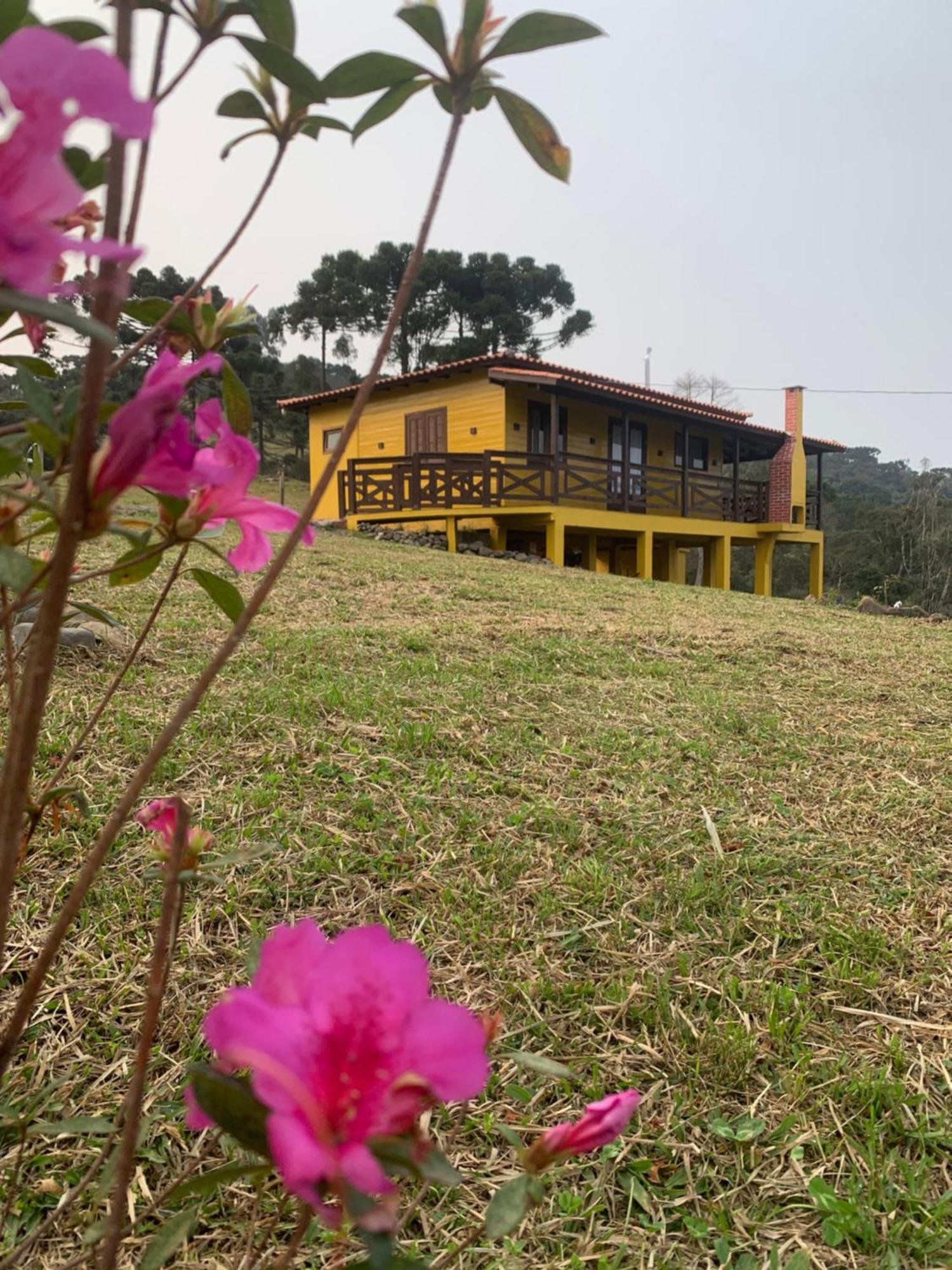 Meu Cantinho Serrano Iii Holiday home *